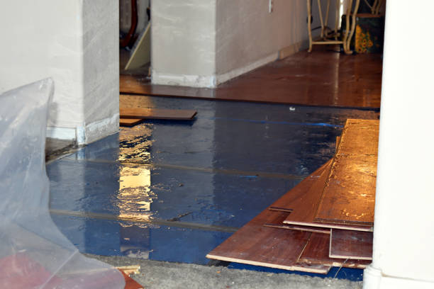Professional Water Damage Repair technician working in Bellefontaine, OH